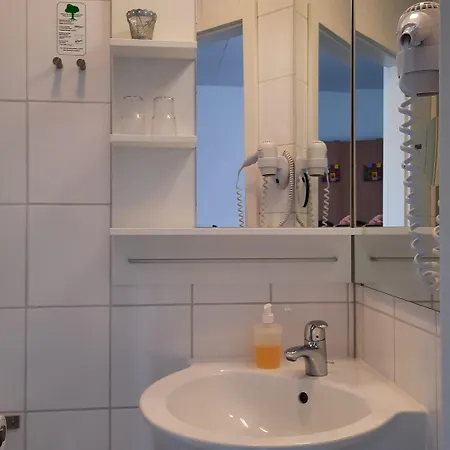 Merlin Garni فندق 3*